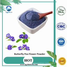 100% Natural Organic Butterfly Pea Flower Extract Powder